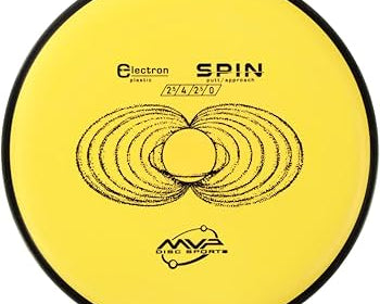Electron Spin