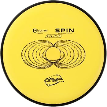 Electron Spin