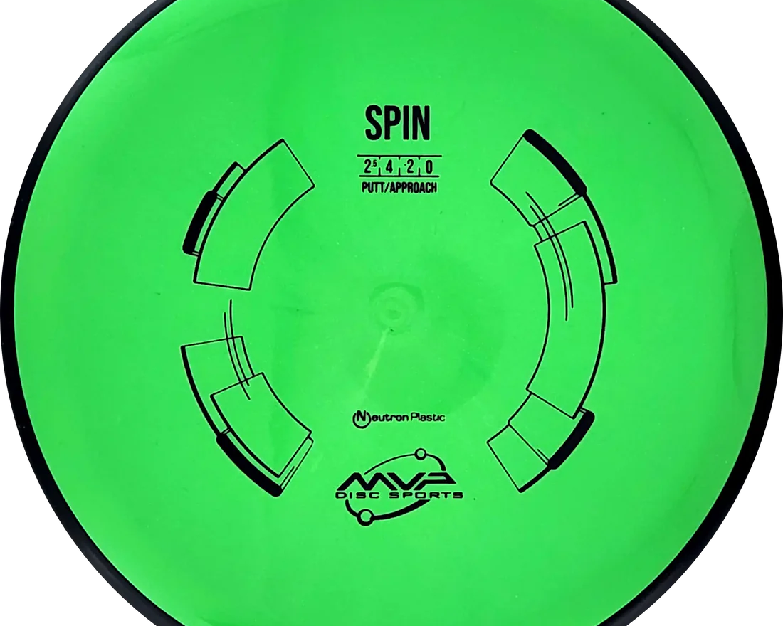 Neutron Spin